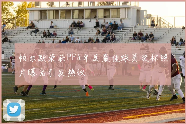 帕尔默荣获PFA年度最佳球员奖杯照片曝光引发热议