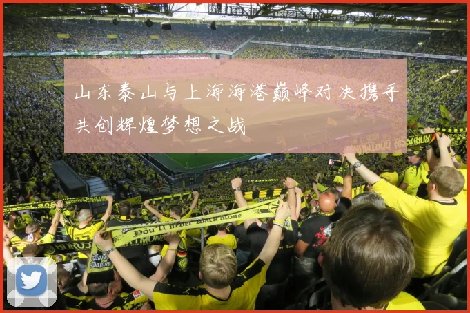 山东泰山与上海海港巅峰对决携手共创辉煌梦想之战