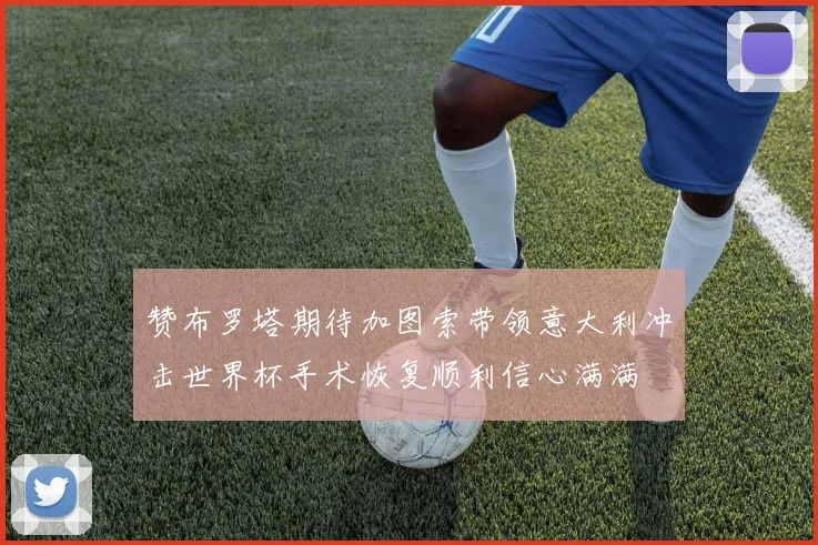 赞布罗塔期待加图索带领意大利冲击世界杯手术恢复顺利信心满满