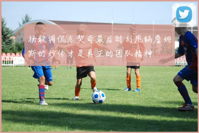 杨毅调侃东契奇最后时刻甩锅詹姆斯的妙传才是真正的团队精神