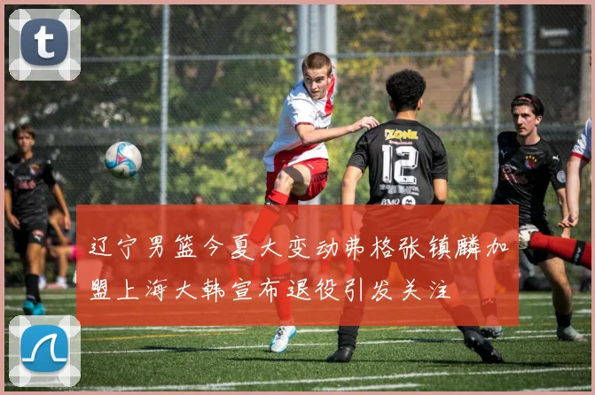辽宁男篮今夏大变动弗格张镇麟加盟上海大韩宣布退役引发关注