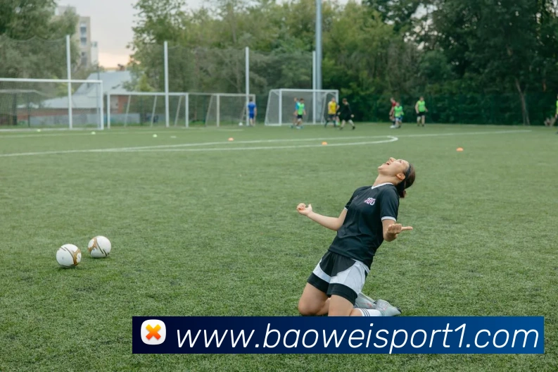 宝威体育APP 封面图