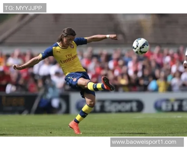 前阿森纳青训球员维加不幸身亡围墙已被拆除引发广泛关注 前阿森纳青训球员维加不幸身亡围墙已被拆除引发广泛关注